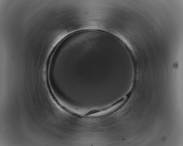 X0000097991468200804020957