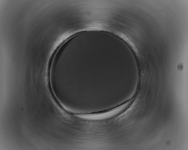 X0000097991469200804020957