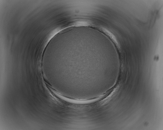 X0000097991473200804020957