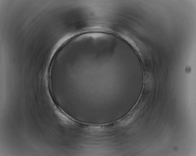 X0000097991474200804020957