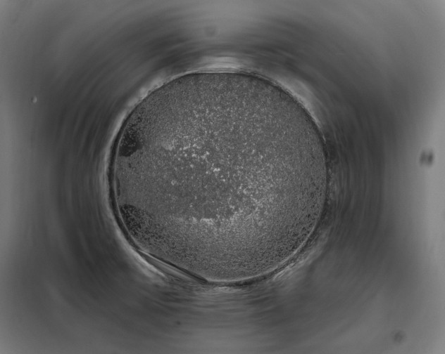 X0000097991475200804020957
