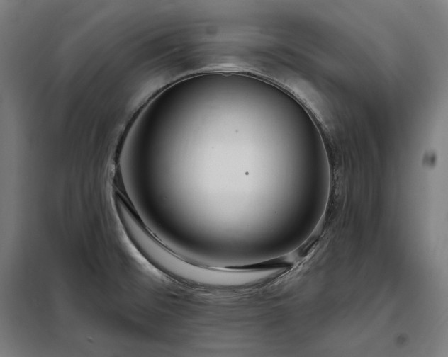 X0000097991476200804020957