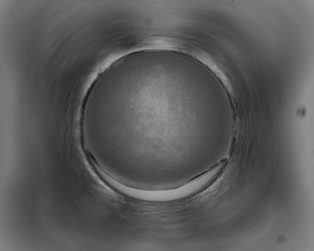 X0000097991477200804020957