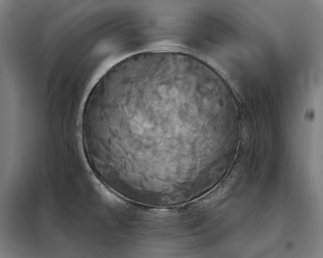 X0000097991478200804020957