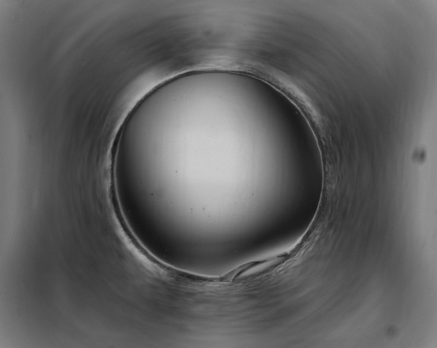 X0000097991479200804020957