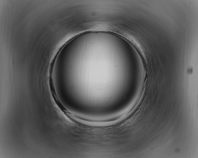 X0000097991480200804020957