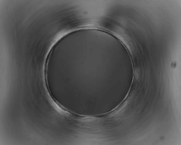 X0000097991482200804020957