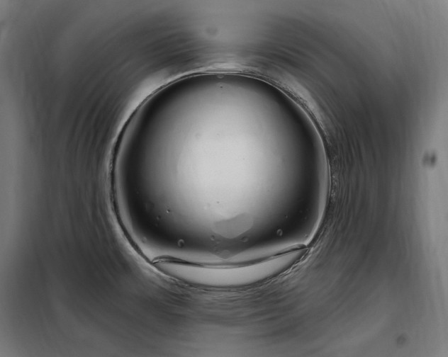 X0000097991483200804020957