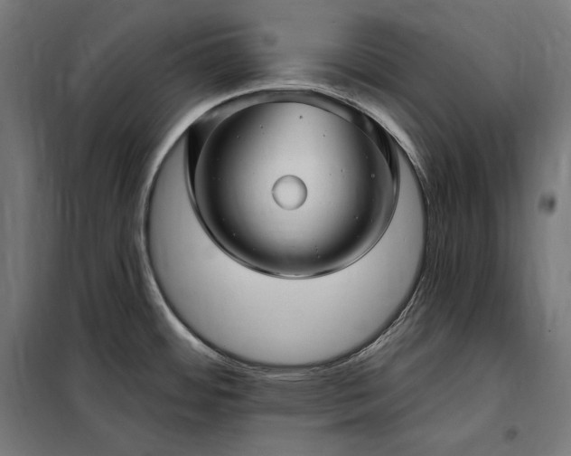 X0000097991484200804020957