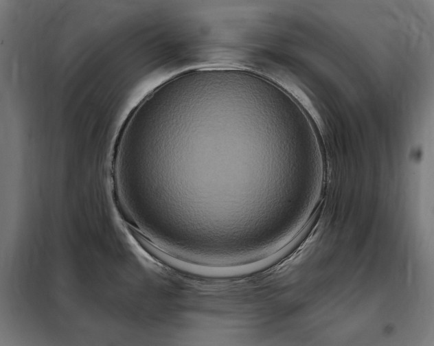 X0000097991485200804020957