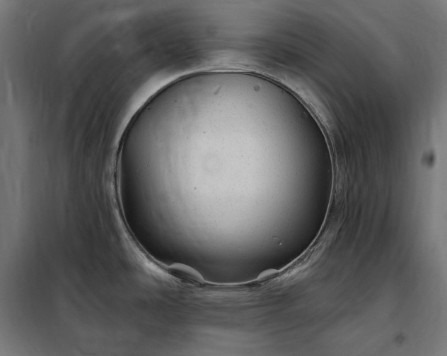 X0000097991486200804020957
