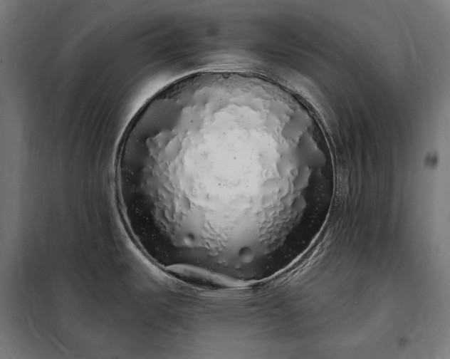 X0000097991487200804020957