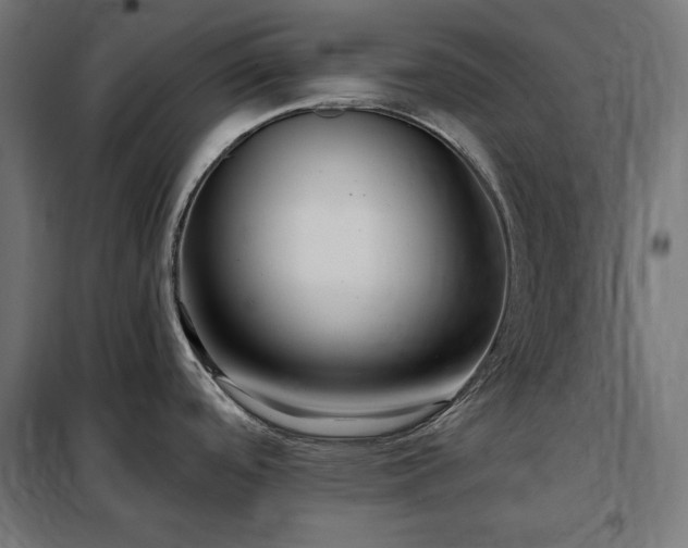 X0000097991488200804020957