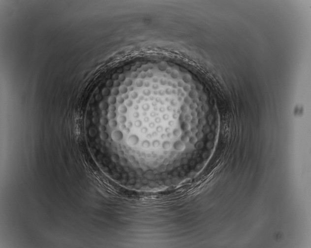 X0000097991490200804020956
