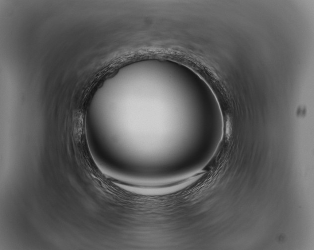 X0000097991492200804020956