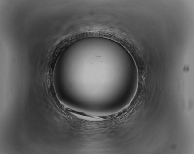 X0000097991493200804020956