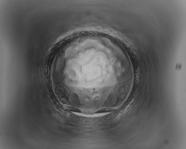 X0000097991494200804020956