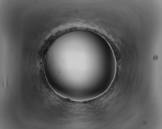 X0000097991495200804020956
