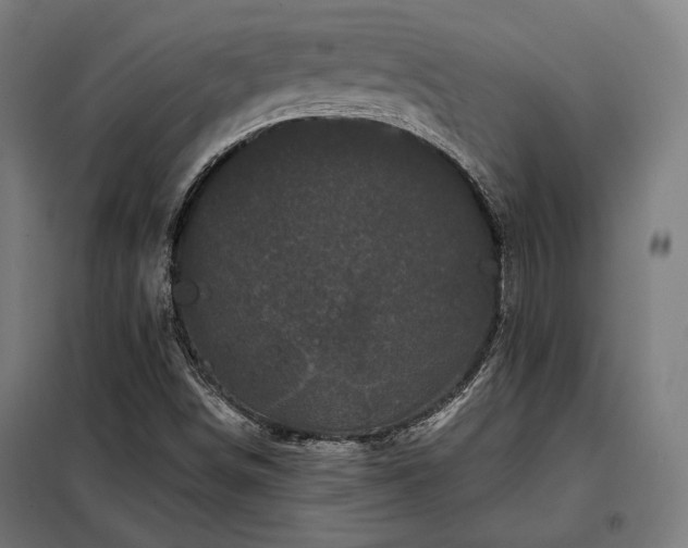 X0000097991498200804020956