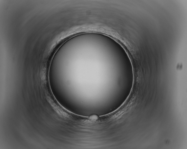 X0000097991499200804020956