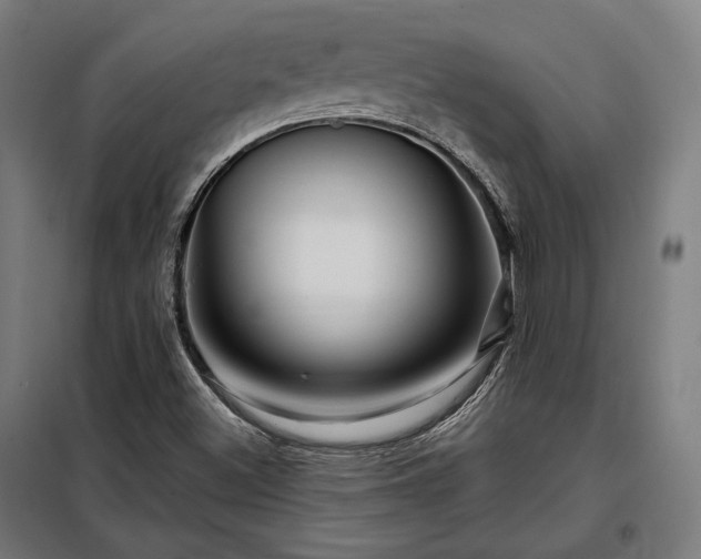 X0000097991500200804020956