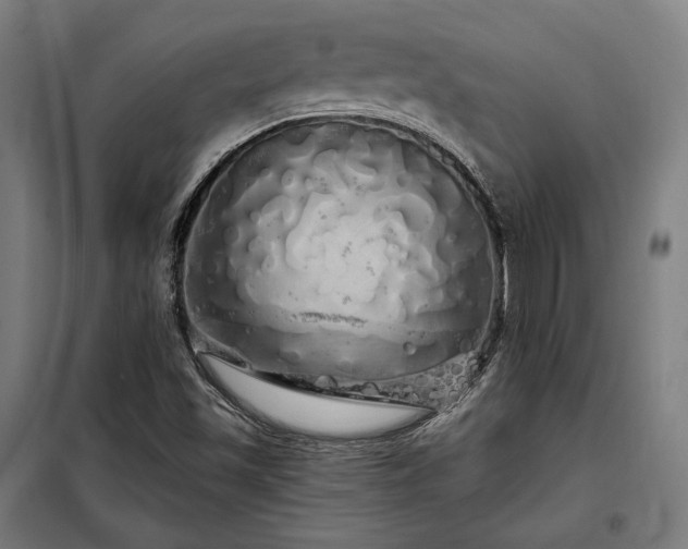 X0000097991501200804020956