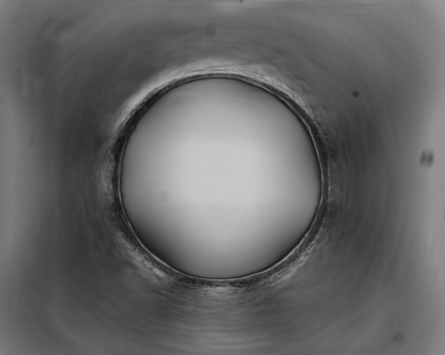 X0000097991502200804020956