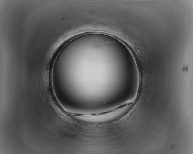 X0000097991503200804020956
