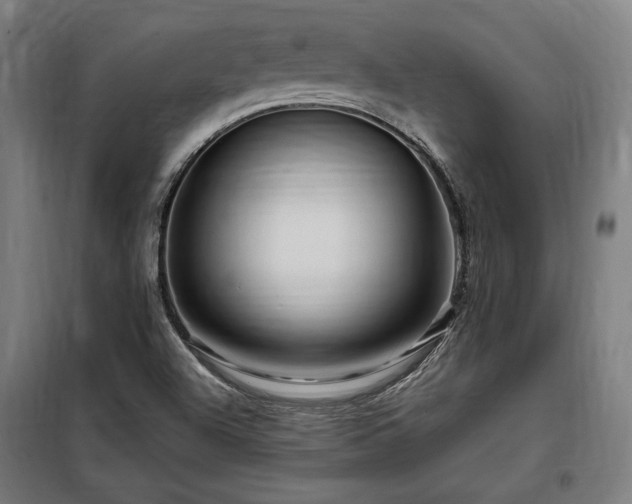X0000097991504200804020956