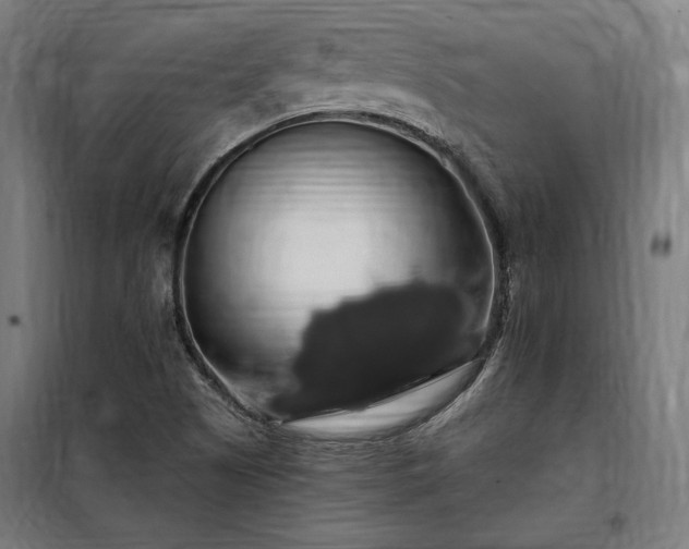 X0000097991505200804020956