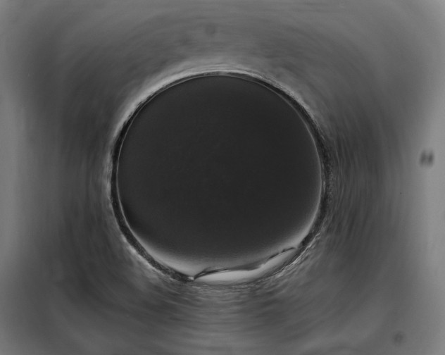 X0000097991508200804020956