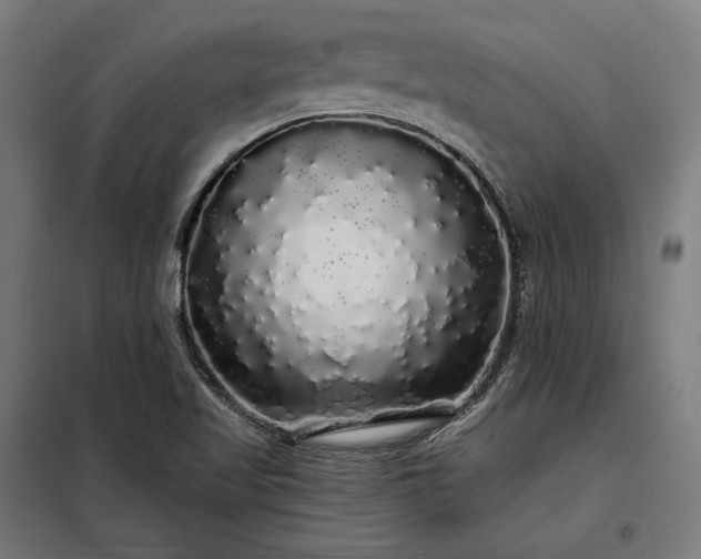 X0000097991509200804020956