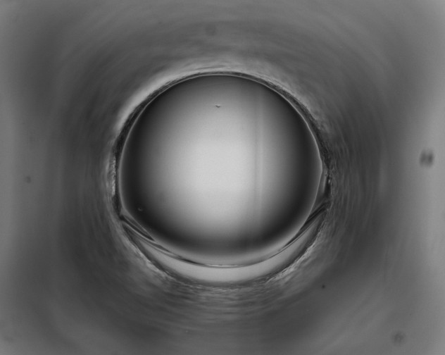 X0000097991510200804020956
