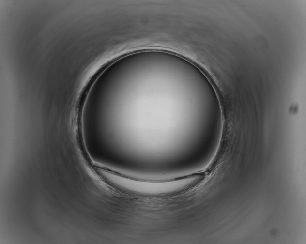 X0000097991511200804020956