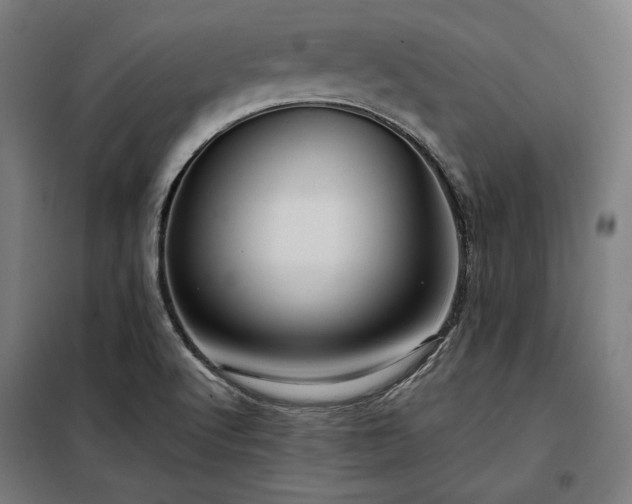 X0000097991512200804020956