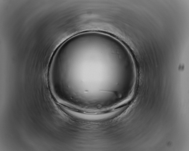 X0000097991513200804020956