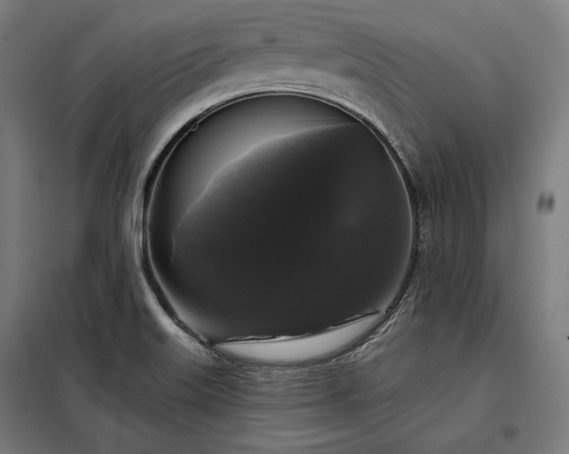 X0000097991515200804020956