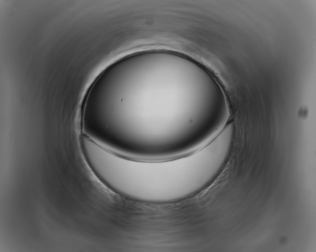 X0000097991516200804020956