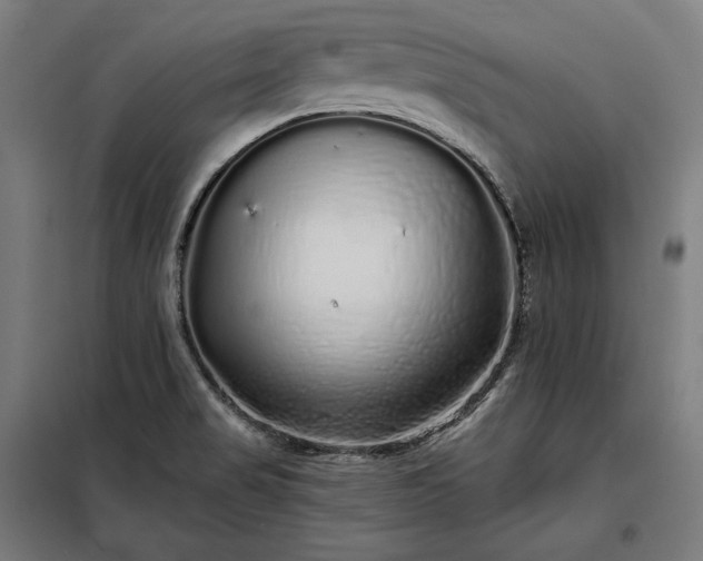 X0000097991517200804020956