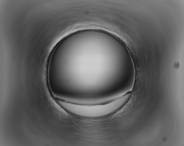X0000097991518200804020956