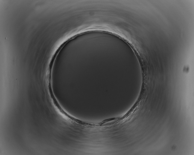 X0000097991519200804020956