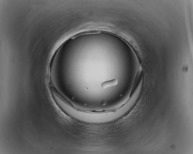 X0000097991520200804020956
