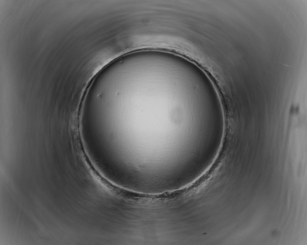 X0000097991521200804020956