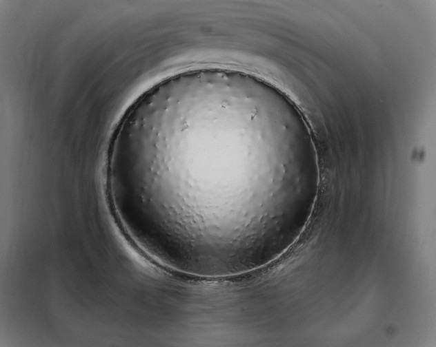 X0000097991523200804020956