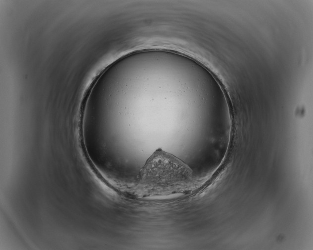 X0000097991525200804020957