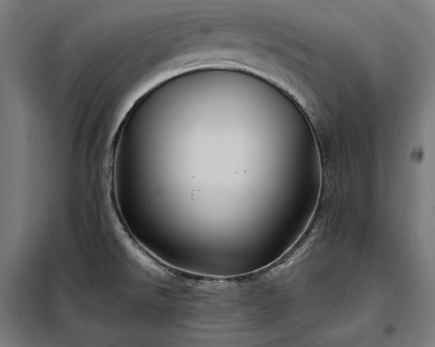 X0000097991526200804020957
