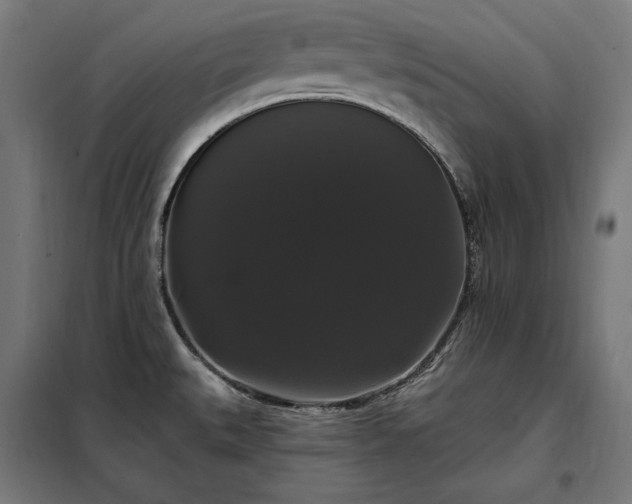 X0000097991527200804020957