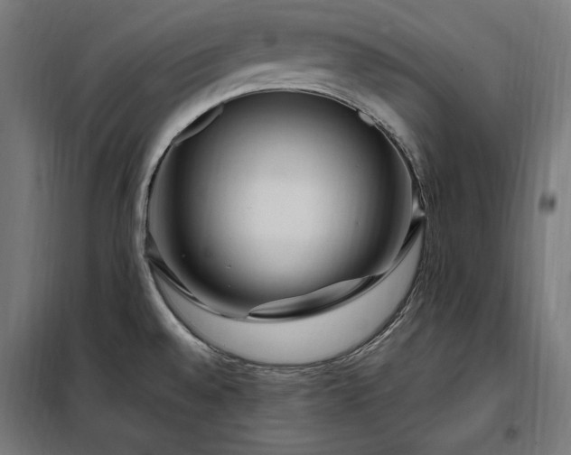 X0000097991528200804020957