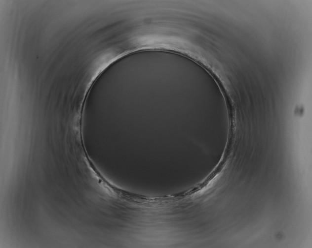 X0000097991529200804020957