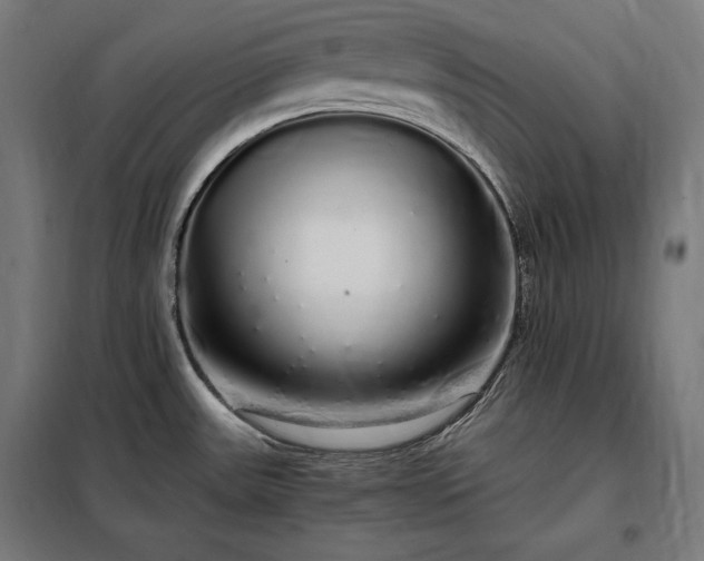 X0000097991531200804020957